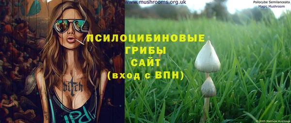 дживик Иннополис